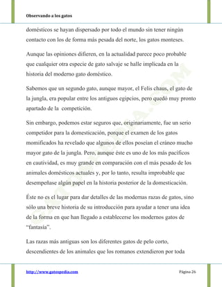 Observando a los gatos
http://www.gatospedia.com Página 26
domésticos se hayan dispersado por todo el mundo sin tener ningún
contacto con los de forma más pesada del norte, los gatos monteses.
Aunque las opiniones difieren, en la actualidad parece poco probable
que cualquier otra especie de gato salvaje se halle implicada en la
historia del moderno gato doméstico.
Sabemos que un segundo gato, aunque mayor, el Felis chaus, el gato de
la jungla, era popular entre los antiguos egipcios, pero quedó muy pronto
apartado de la competición.
Sin embargo, podemos estar seguros que, originariamente, fue un serio
competidor para la domesticación, porque el examen de los gatos
momificados ha revelado que algunos de ellos poseían el cráneo mucho
mayor gato de la jungla. Pero, aunque éste es uno de los más pacíficos
en cautividad, es muy grande en comparación con el más pesado de los
animales domésticos actuales y, por lo tanto, resulta improbable que
desempeñase algún papel en la historia posterior de la domesticación.
Éste no es el lugar para dar detalles de las modernas razas de gatos, sino
sólo una breve historia de su introducción para ayudar a tener una idea
de la forma en que han llegado a establecerse los modernos gatos de
“fantasía”.
Las razas más antiguas son los diferentes gatos de pelo corto,
descendientes de los animales que los romanos extendieron por toda
 