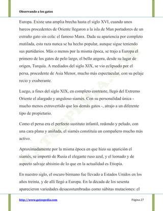 Observando a los gatos
http://www.gatospedia.com Página 27
Europa. Existe una amplia brecha hasta el siglo XVI, cuando unos
barcos procedentes de Oriente llegaron a la isla de Man portadores de un
extraño gato sin cola: el famoso Manx. Dada su apariencia por completo
mutilada, esta raza nunca se ha hecho popular, aunque sigue teniendo
sus partidarios. Más o menos por la misma época, se trajo a Europa el
primero de los gatos de pelo largo, el bello angora, desde su lugar de
origen, Turquía. A mediados del siglo XIX, se vio eclipsado por el
persa, procedente de Asia Menor, mucho más espectacular, con su pelaje
recio y exuberante.
Luego, a fines del siglo XIX, en completo contraste, llegó del Extremo
Oriente el alargado y anguloso siamés. Con su personalidad única -
mucho menos extrovertido que los demás gatos -, atrajo a un diferente
tipo de propietario.
Como el persa era el perfecto sustituto infantil, redondo y peludo, con
una cara plana y aniñada, el siamés constituía un compañero mucho más
activo.
Aproximadamente por la misma época en que hizo su aparición el
siamés, se importó de Rusia el elegante ruso azul, y el leonado y de
aspecto salvaje abisinio de lo que en la actualidad es Etiopía.
En nuestro siglo, el oscuro birmano fue llevado a Estados Unidos en los
años treinta, y de allí llegó a Europa. En la década de los sesenta
aparecieron variedades desacostumbradas como súbitas mutaciones: el
 