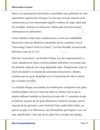 Observando a los gatos
http://www.gatospedia.com Página 29
línea y las injustamente aristocráticas autoridades que gobiernan las más
importantes exposiciones de gatos. La raza más reciente inmersa en la
controversia es el ya mencionado ragdoll o muñeca de trapo: ideal para
los inválidos, afirman sus defensores; Demasiado fácil de lastimar;
contraatacan sus detractores.
Como colofón a todas estas complicaciones, existe un considerable
desacuerdo entre las diferentes autoridades de los concursos, con el
“Governing Council of the Cat Fancy”, en Gran Bretaña, reconociendo
diferentes razas de la “Cat
Fanciers' Association”, de Estados Unidos. Las dos organizaciones, a
veces, adjudican de forma confusa nombres diferentes a la misma raza.
No obstante, nada de esto causa demasiado daño. Simplemente, tiene el
efecto de añadir la excitación de acaloradas discusiones y debates,
mientras que los gatos de pedigrí en sí se benefician de todo el interés
que se toman con ellos.
La seriedad con que son tratadas las exhibiciones competitivas de gatos,
también ayuda a elevar el status de todos los felinos, por lo que el
minino ordinario también se beneficia de todo ello. Y continúan siendo
la inmensa mayoría de los gatos domésticos modernos porque, para la
mayoría de las personas, como Gertrude Stein, podía haber dicho, un
gato es un gato. Las diferencias, por fascinadoras que lleguen a ser, son
muy superficiales. Cada uno de los gatos lleva consigo una antigua
 