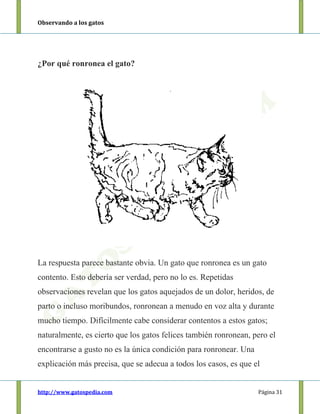 Observando a los gatos
http://www.gatospedia.com Página 31
¿Por qué ronronea el gato?
La respuesta parece bastante obvia. Un gato que ronronea es un gato
contento. Esto debería ser verdad, pero no lo es. Repetidas
observaciones revelan que los gatos aquejados de un dolor, heridos, de
parto o incluso moribundos, ronronean a menudo en voz alta y durante
mucho tiempo. Difícilmente cabe considerar contentos a estos gatos;
naturalmente, es cierto que los gatos felices también ronronean, pero el
encontrarse a gusto no es la única condición para ronronear. Una
explicación más precisa, que se adecua a todos los casos, es que el
 