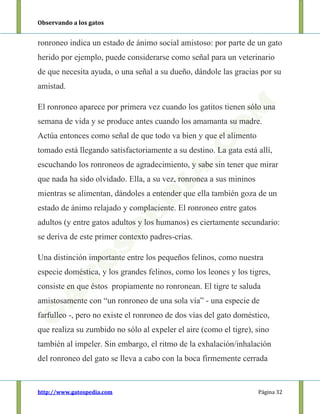 Observando a los gatos
http://www.gatospedia.com Página 32
ronroneo indica un estado de ánimo social amistoso: por parte de un gato
herido por ejemplo, puede considerarse como señal para un veterinario
de que necesita ayuda, o una señal a su dueño, dándole las gracias por su
amistad.
El ronroneo aparece por primera vez cuando los gatitos tienen sólo una
semana de vida y se produce antes cuando los amamanta su madre.
Actúa entonces como señal de que todo va bien y que el alimento
tomado está llegando satisfactoriamente a su destino. La gata está allí,
escuchando los ronroneos de agradecimiento, y sabe sin tener que mirar
que nada ha sido olvidado. Ella, a su vez, ronronea a sus mininos
mientras se alimentan, dándoles a entender que ella también goza de un
estado de ánimo relajado y complaciente. El ronroneo entre gatos
adultos (y entre gatos adultos y los humanos) es ciertamente secundario:
se deriva de este primer contexto padres-crías.
Una distinción importante entre los pequeños felinos, como nuestra
especie doméstica, y los grandes felinos, como los leones y los tigres,
consiste en que éstos propiamente no ronronean. El tigre te saluda
amistosamente con “un ronroneo de una sola vía” - una especie de
farfulleo -, pero no existe el ronroneo de dos vías del gato doméstico,
que realiza su zumbido no sólo al expeler el aire (como el tigre), sino
también al impeler. Sin embargo, el ritmo de la exhalación/inhalación
del ronroneo del gato se lleva a cabo con la boca firmemente cerrada
 
