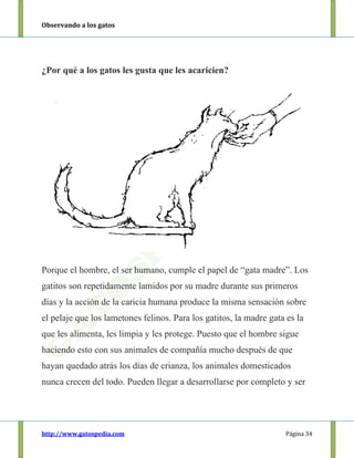 Observando a los gatos
http://www.gatospedia.com Página 34
¿Por qué a los gatos les gusta que les acaricien?
Porque el hombre, el ser humano, cumple el papel de “gata madre”. Los
gatitos son repetidamente lamidos por su madre durante sus primeros
días y la acción de la caricia humana produce la misma sensación sobre
el pelaje que los lametones felinos. Para los gatitos, la madre gata es la
que les alimenta, les limpia y les protege. Puesto que el hombre sigue
haciendo esto con sus animales de compañía mucho después de que
hayan quedado atrás los días de crianza, los animales domesticados
nunca crecen del todo. Pueden llegar a desarrollarse por completo y ser
 