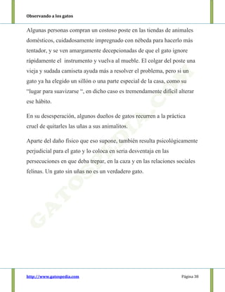 Observando a los gatos
http://www.gatospedia.com Página 38
Algunas personas compran un costoso poste en las tiendas de animales
domésticos, cuidadosamente impregnado con nébeda para hacerlo más
tentador, y se ven amargamente decepcionadas de que el gato ignore
rápidamente el instrumento y vuelva al mueble. El colgar del poste una
vieja y sudada camiseta ayuda más a resolver el problema, pero si un
gato ya ha elegido un sillón o una parte especial de la casa, como su
“lugar para suavizarse “, en dicho caso es tremendamente difícil alterar
ese hábito.
En su desesperación, algunos dueños de gatos recurren a la práctica
cruel de quitarles las uñas a sus animalitos.
Aparte del daño físico que eso supone, también resulta psicológicamente
perjudicial para el gato y lo coloca en seria desventaja en las
persecuciones en que deba trepar, en la caza y en las relaciones sociales
felinas. Un gato sin uñas no es un verdadero gato.
 