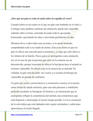 Observando a los gatos
http://www.gatospedia.com Página 39
¿Por qué un gato se echa al suelo sobre la espalda al verte?
Cuando entras en un cuarto en el que un gato está tumbado en el suelo, y
le diriges unas palabras cariñosas de salutación, puede éste responder
rodando sobre su lomo, estirando las patas todo lo que pueda,
bostezando, ejercitando las uñas y moviendo gentilmente el rabo.
Mientras lleva a cabo todas esas acciones, se te queda mirando,
comprobando cuál es tu estado de ánimo. Ésta es la forma en que un
gato te ofrece una reacción pasiva amistosa, y es algo que sólo ofrece a
los íntimos de la familia. Pocos gatos se arriesgarían a una salutación
así, en el caso de que la persona que entre en la estancia sea un
desconocido, porque la postura de ofrecer la barriguita hace al animal en
extremo vulnerable. En efecto, ésta es la esencia de su amistad. En
realidad, el gato está diciendo: me vuelco y te enseño mi barriga tan
vulnerable en prueba de confianza.
Un gato más activo correrá hacia ti y comenzará a rozarse en tu pierna
como forma de saludo amistoso, pero uno más perezoso y soñoliento
preferirá enseñarte su barriguita. El bostezo y el estiramiento que lo
acompañan reflejan la somnolencia del animal, una somnolencia que
está dispuesto a interrumpir el menor tiempo posible. La leve oscilación
de la cola indica que está dudando entre seguir estirándose y saltar para
aproximarse al recién llegado.
 