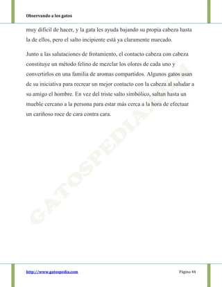 Observando a los gatos
http://www.gatospedia.com Página 44
muy difícil de hacer, y la gata les ayuda bajando su propia cabeza hasta
la de ellos, pero el salto incipiente está ya claramente marcado.
Junto a las salutaciones de frotamiento, el contacto cabeza con cabeza
constituye un método felino de mezclar los olores de cada uno y
convertirlos en una familia de aromas compartidos. Algunos gatos usan
de su iniciativa para recrear un mejor contacto con la cabeza al saludar a
su amigo el hombre. En vez del triste salto simbólico, saltan hasta un
mueble cercano a la persona para estar más cerca a la hora de efectuar
un cariñoso roce de cara contra cara.
 