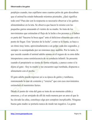 Observando a los gatos
http://www.gatospedia.com Página 46
perplejos cuando, tras cepillarse unos cuantos pelos de gato descubren
que el animal ha estado babeando mientras pisoteaba. ¿Qué significa
todo esto? Para dar con la respuesta es necesario observar a los gatitos
alimentándose en la teta. Se observa que hacen lo mismo con las
pequeñas garras amasando el vientre de su madre. Se trata de los
movimientos que estimulan el flujo de la leche a los pezones y el babeo
es parte del “hacerse la boca agua” ante el delicioso alimento que está a
punto de llegar. Este “pisoteo de la leche”, como se le llama, se hace a
un ritmo muy lento, aproximadamente a un golpe cada dos segundos, y
siempre va acompañado por un ronroneo muy audible. Por lo tanto, lo
que sucede cuando el animal adulto amasa en el regazo de su amo debe
interpretarse como reminiscencia de su conducta infantil. Se presenta
cuando el propietario se sienta de forma relajada, y parece como si le
dijera al gato: -Soy tu madre y me encuentro aquí tumbada, dispuesta a
alimentarte con el pecho.
El gato adulto puede regresar así a su época de gatito y tumbarse,
ronroneando la mar de contento y “creerse” que con esos movimientos
estimulará el suministro lácteo.
Desde el punto de vista del gato se trata de un momento cálido y
amoroso, y el ser arrojado de allí de mala manera por un amo al que le
ha clavado las uñas, constituye algo por completo inexplicable. Ninguna
buena gata madre se portaría nunca de modo tan negativo. La gente
 