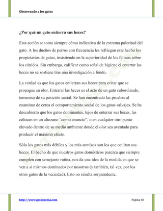 Observando a los gatos
http://www.gatospedia.com Página 48
¿Por qué un gato entierra sus heces?
Esta acción se toma siempre cómo indicativa de la extrema pulcritud del
gato. A los dueños de perros con frecuencia les refriegan este hecho los
propietarios de gatos, insistiendo en la superioridad de los felinos sobre
los cánidos. Sin embargo, calificar como señal de higiene el enterrar las
heces no se sostiene tras una investigación a fondo.
La verdad es que los gatos entierran sus heces para evitar que se
propague su olor. Enterrar las heces es el acto de un gato subordinado,
temeroso de su posición social. Se han encontrado las pruebas al
examinar de cerca el comportamiento social de los gatos salvajes. Se ha
descubierto que los gatos dominantes, lejos de enterrar sus heces, las
colocan en un altozano “como anuncio”, o en cualquier otro punto
elevado dentro de su medio ambiente donde el olor sea aventado para
producir el máximo efecto.
Sólo los gatos más débiles y los más sumisos son los que ocultan sus
heces. El hecho de que nuestros gatos domésticos parezca que siempre
cumplen con semejante rutina, nos da una idea de la medida en que se
ven a sí mismos dominados por nosotros (y también, tal vez, por los
otros gatos de la vecindad). Esto no resulta sorprendente.
 