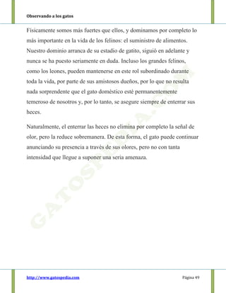 Observando a los gatos
http://www.gatospedia.com Página 49
Físicamente somos más fuertes que ellos, y dominamos por completo lo
más importante en la vida de los felinos: el suministro de alimentos.
Nuestro dominio arranca de su estadio de gatito, siguió en adelante y
nunca se ha puesto seriamente en duda. Incluso los grandes felinos,
como los leones, pueden mantenerse en este rol subordinado durante
toda la vida, por parte de sus amistosos dueños, por lo que no resulta
nada sorprendente que el gato doméstico esté permanentemente
temeroso de nosotros y, por lo tanto, se asegure siempre de enterrar sus
heces.
Naturalmente, el enterrar las heces no elimina por completo la señal de
olor, pero la reduce sobremanera. De esta forma, el gato puede continuar
anunciando su presencia a través de sus olores, pero no con tanta
intensidad que llegue a suponer una seria amenaza.
 