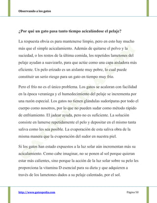 Observando a los gatos
http://www.gatospedia.com Página 50
¿Por qué un gato pasa tanto tiempo acicalándose el pelaje?
La respuesta obvia es para mantenerse limpio, pero en esto hay mucho
más que el simple acicalamiento. Además de quitarse el polvo y la
suciedad, o los restos de la última comida, los repetidos lametones del
pelaje ayudan a suavizarlo, para que actúe como una capa aisladora más
eficiente. Un pelo erizado es un aislante muy pobre, lo cual puede
constituir un serio riesgo para un gato en tiempo muy frío.
Pero el frío no es el único problema. Los gatos se acaloran con facilidad
en la época veraniega y el humedecimiento del pelaje se incrementa por
una razón especial. Los gatos no tienen glándulas sudoríparas por todo el
cuerpo como nosotros, por lo que no pueden sudar como método rápido
de enfriamiento. El jadear ayuda, pero no es suficiente. La solución
consiste en lamerse repetidamente el pelo y depositar en el mismo tanta
saliva como les sea posible. La evaporación de esta saliva obra de la
misma manera que la evaporación del sudor en nuestra piel.
Si los gatos han estado expuestos a la luz solar aún incrementan más su
acicalamiento. Como cabe imaginar, no se ponen al sol porque quieran
estar más calientes, sino porque la acción de la luz solar sobre su pelo les
proporciona la vitamina D esencial para su dieta y que adquieren a
través de los lametones dados a su pelaje calentado, por el sol.
 