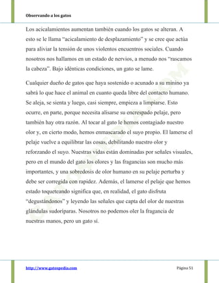 Observando a los gatos
http://www.gatospedia.com Página 51
Los acicalamientos aumentan también cuando los gatos se alteran. A
esto se le llama “acicalamiento de desplazamiento” y se cree que actúa
para aliviar la tensión de unos violentos encuentros sociales. Cuando
nosotros nos hallamos en un estado de nervios, a menudo nos “rascamos
la cabeza”. Bajo idénticas condiciones, un gato se lame.
Cualquier dueño de gatos que haya sostenido o acunado a su minino ya
sabrá lo que hace el animal en cuanto queda libre del contacto humano.
Se aleja, se sienta y luego, casi siempre, empieza a limpiarse. Esto
ocurre, en parte, porque necesita alisarse su encrespado pelaje, pero
también hay otra razón. Al tocar al gato le hemos contagiado nuestro
olor y, en cierto modo, hemos enmascarado el suyo propio. El lamerse el
pelaje vuelve a equilibrar las cosas, debilitando nuestro olor y
reforzando el suyo. Nuestras vidas están dominadas por señales visuales,
pero en el mundo del gato los olores y las fragancias son mucho más
importantes, y una sobredosis de olor humano en su pelaje perturba y
debe ser corregida con rapidez. Además, el lamerse el pelaje que hemos
estado toqueteando significa que, en realidad, el gato disfruta
“degustándonos” y leyendo las señales que capta del olor de nuestras
glándulas sudoríparas. Nosotros no podemos oler la fragancia de
nuestras manos, pero un gato sí.
 