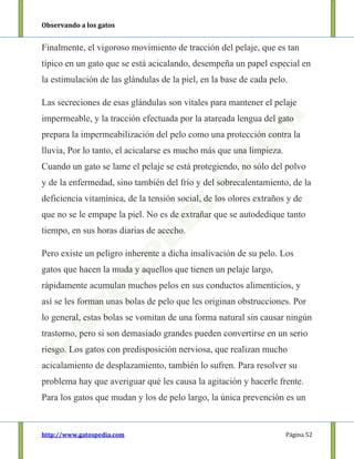 Observando a los gatos
http://www.gatospedia.com Página 52
Finalmente, el vigoroso movimiento de tracción del pelaje, que es tan
típico en un gato que se está acicalando, desempeña un papel especial en
la estimulación de las glándulas de la piel, en la base de cada pelo.
Las secreciones de esas glándulas son vitales para mantener el pelaje
impermeable, y la tracción efectuada por la atareada lengua del gato
prepara la impermeabilización del pelo como una protección contra la
lluvia, Por lo tanto, el acicalarse es mucho más que una limpieza.
Cuando un gato se lame el pelaje se está protegiendo, no sólo del polvo
y de la enfermedad, sino también del frío y del sobrecalentamiento, de la
deficiencia vitamínica, de la tensión social, de los olores extraños y de
que no se le empape la piel. No es de extrañar que se autodedique tanto
tiempo, en sus horas diarias de acecho.
Pero existe un peligro inherente a dicha insalivación de su pelo. Los
gatos que hacen la muda y aquellos que tienen un pelaje largo,
rápidamente acumulan muchos pelos en sus conductos alimenticios, y
así se les forman unas bolas de pelo que les originan obstrucciones. Por
lo general, estas bolas se vomitan de una forma natural sin causar ningún
trastorno, pero si son demasiado grandes pueden convertirse en un serio
riesgo. Los gatos con predisposición nerviosa, que realizan mucho
acicalamiento de desplazamiento, también lo sufren. Para resolver su
problema hay que averiguar qué les causa la agitación y hacerle frente.
Para los gatos que mudan y los de pelo largo, la única prevención es un
 