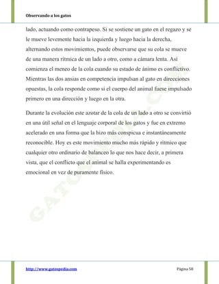 Observando a los gatos
http://www.gatospedia.com Página 58
lado, actuando como contrapeso. Si se sostiene un gato en el regazo y se
le mueve levemente hacia la izquierda y luego hacia la derecha,
alternando estos movimientos, puede observarse que su cola se mueve
de una manera rítmica de un lado a otro, como a cámara lenta. Así
comienza el meneo de la cola cuando su estado de ánimo es conflictivo.
Mientras las dos ansias en competencia impulsan al gato en direcciones
opuestas, la cola responde como si el cuerpo del animal fuese impulsado
primero en una dirección y luego en la otra.
Durante la evolución este azotar de la cola de un lado a otro se convirtió
en una útil señal en el lenguaje corporal de los gatos y fue en extremo
acelerado en una forma que la hizo más conspicua e instantáneamente
reconocible. Hoy es este movimiento mucho más rápido y rítmico que
cualquier otro ordinario de balanceo lo que nos hace decir, a primera
vista, que el conflicto que el animal se halla experimentando es
emocional en vez de puramente físico.
 
