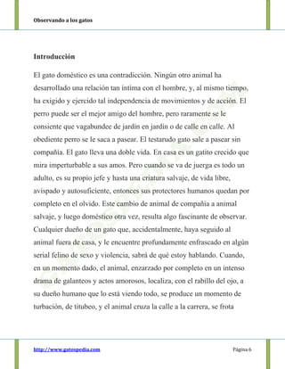 Observando a los gatos
http://www.gatospedia.com Página 6
Introducción
El gato doméstico es una contradicción. Ningún otro animal ha
desarrollado una relación tan íntima con el hombre, y, al mismo tiempo,
ha exigido y ejercido tal independencia de movimientos y de acción. El
perro puede ser el mejor amigo del hombre, pero raramente se le
consiente que vagabundee de jardín en jardín o de calle en calle. Al
obediente perro se le saca a pasear. El testarudo gato sale a pasear sin
compañía. El gato lleva una doble vida. En casa es un gatito crecido que
mira imperturbable a sus amos. Pero cuando se va de juerga es todo un
adulto, es su propio jefe y hasta una criatura salvaje, de vida libre,
avispado y autosuficiente, entonces sus protectores humanos quedan por
completo en el olvido. Este cambio de animal de compañía a animal
salvaje, y luego doméstico otra vez, resulta algo fascinante de observar.
Cualquier dueño de un gato que, accidentalmente, haya seguido al
animal fuera de casa, y le encuentre profundamente enfrascado en algún
serial felino de sexo y violencia, sabrá de qué estoy hablando. Cuando,
en un momento dado, el animal, enzarzado por completo en un intenso
drama de galanteos y actos amorosos, localiza, con el rabillo del ojo, a
su dueño humano que lo está viendo todo, se produce un momento de
turbación, de titubeo, y el animal cruza la calle a la carrera, se frota
 