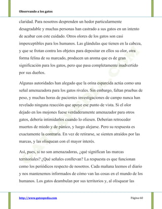 Observando a los gatos
http://www.gatospedia.com Página 60
claridad. Para nosotros desprenden un hedor particularmente
desagradable y muchas personas han castrado a sus gatos en un intento
de acabar con este cuidado. Otros olores de los gatos son casi
imperceptibles para los humanos. Las glándulas que tienen en la cabeza,
y que se frotan contra los objetos para depositar en ellos su olor, otra
forma felina de su marcado, producen un aroma que es de gran
significación para los gatos, pero que pasa completamente inadvertido
por sus dueños.
Algunas autoridades han alegado que la orina esparcida actúa como una
señal amenazadora para los gatos rivales. Sin embargo, faltan pruebas de
peso, y muchas horas de pacientes investigaciones de campo nunca han
revelado ninguna reacción que apoye ese punto de vista. Si el olor
dejado en los mojones fuese verdaderamente amenazador para otros
gatos, debería intimidarlos cuando lo oliesen. Deberían retroceder
muertos de miedo y de pánico, y luego alejarse. Pero su respuesta es
exactamente la contraria. En vez de retirarse, se sienten atraídos por las
marcas, y las olisquean con el mayor interés.
Así, pues, si no son amenazadoras, ¿qué significan las marcas
territoriales? ¿Qué señales conllevan? La respuesta es que funcionan
como los periódicos respecto de nosotros. Cada mañana leemos el diario
y nos mantenemos informados de cómo van las cosas en el mundo de los
humanos. Los gatos deambulan por sus territorios y, al olisquear las
 