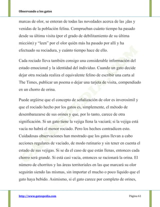 Observando a los gatos
http://www.gatospedia.com Página 61
marcas de olor, se enteran de todas las novedades acerca de las ¡das y
venidas de la población felina. Comprueban cuánto tiempo ha pasado
desde su última visita (por el grado de debilitamiento de su última
micción) y “leen” por el olor quién más ha pasado por allí y ha
efectuado su rociadura, y cuánto tiempo hace de ello.
Cada rociado lleva también consigo una considerable información del
estado emocional y la identidad del individuo. Cuando un gato decide
dejar otra rociada realiza el equivalente felino de escribir una carta al
The Times, publicar un poema o dejar una tarjeta de visita, compendiado
en un chorro de orina.
Puede argüirse que el concepto de señalización de olor es inverosímil y
que el rociado hecho por los gatos es, simplemente, el método de
desembarazarse de sus orines y que, por lo tanto, carece de otra
significación. Si un gato tiene la vejiga llena la vaciará; si la vejiga está
vacía no habrá el menor rociado. Pero los hechos contradicen esto.
Cuidadosas observaciones han mostrado que los gatos llevan a cabo
acciones regulares de vaciado, de modo rutinario y sin tener en cuenta el
estado de sus vejigas. Si se da el caso de que están llenas, entonces cada
chorro será grande. Si está casi vacía, entonces se racionará la orina. El
número de chorritos y las áreas territoriales en las que marcará su olor
seguirán siendo las mismas, sin importar el mucho o poco líquido que el
gato haya bebido. Asimismo, si el gato carece por completo de orines,
 