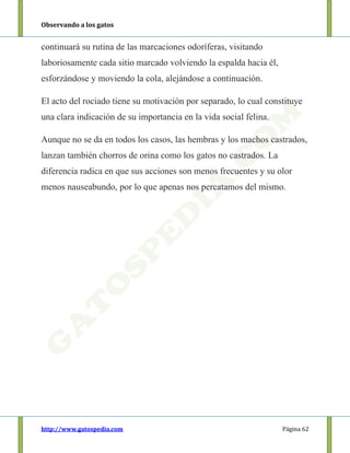 Observando a los gatos
http://www.gatospedia.com Página 62
continuará su rutina de las marcaciones odoríferas, visitando
laboriosamente cada sitio marcado volviendo la espalda hacia él,
esforzándose y moviendo la cola, alejándose a continuación.
El acto del rociado tiene su motivación por separado, lo cual constituye
una clara indicación de su importancia en la vida social felina.
Aunque no se da en todos los casos, las hembras y los machos castrados,
lanzan también chorros de orina como los gatos no castrados. La
diferencia radica en que sus acciones son menos frecuentes y su olor
menos nauseabundo, por lo que apenas nos percatamos del mismo.
 