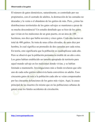 Observando a los gatos
http://www.gatospedia.com Página 66
El número de gatos domésticos, naturalmente, es controlado por sus
propietarios, con el castrado de adultos, la destrucción de las camadas no
deseadas y la venta o el abandono de los gatitos de más. Pero, ¿cómo las
distribuciones territoriales de los gatos salvajes se mantienen a pesar de
su mucha descendencia? Un estudio detallado que se hizo de los gatos
que vivían en los malecones de un gran puerto, en un área de 100
hectáreas, nos dice que había noventa y cinco gatos. Cada año nacían un
total de 400 gatitos. Se trata de unas cifras elevadas, de unos diez por
hembra, lo cual significa un promedio de dos camadas por cada reina.
En teoría, esto significaría que la población se cuadruplicase cada año.
Pero se observó que la población permanecía estable de un año a otro.
Los gatos habían establecido un tamaño apropiado de territorio para
aquel mundo salvaje en los malecones donde vivían, y se habían
limitado a mantenerlo. Investigaciones más a fondo revelaron que sólo
uno de cada ocho gatitos sobrevivía hasta convertirse en adulto. Esos
cincuenta gatos de más a la población cada año se veían compensados
por las cincuenta defunciones de los gatos más viejos. Aquí, la causa
principal de las muertes (lo mismo que en las poblaciones urbanas de
gatos) eran los fatales accidentes de circulación.
 