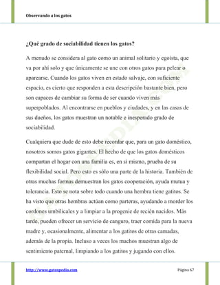 Observando a los gatos
http://www.gatospedia.com Página 67
¿Qué grado de sociabilidad tienen los gatos?
A menudo se considera al gato como un animal solitario y egoísta, que
va por ahí solo y que únicamente se une con otros gatos para pelear o
aparearse. Cuando los gatos viven en estado salvaje, con suficiente
espacio, es cierto que responden a esta descripción bastante bien, pero
son capaces de cambiar su forma de ser cuando viven más
superpoblados. Al encontrarse en pueblos y ciudades, y en las casas de
sus dueños, los gatos muestran un notable e inesperado grado de
sociabilidad.
Cualquiera que dude de esto debe recordar que, para un gato doméstico,
nosotros somos gatos gigantes. El hecho de que los gatos domésticos
compartan el hogar con una familia es, en sí mismo, prueba de su
flexibilidad social. Pero esto es sólo una parte de la historia. También de
otras muchas formas demuestran los gatos cooperación, ayuda mutua y
tolerancia. Esto se nota sobre todo cuando una hembra tiene gatitos. Se
ha visto que otras hembras actúan como parteras, ayudando a morder los
cordones umbilicales y a limpiar a la progenie de recién nacidos. Más
tarde, pueden ofrecer un servicio de canguro, traer comida para la nueva
madre y, ocasionalmente, alimentar a los gatitos de otras camadas,
además de la propia. Incluso a veces los machos muestran algo de
sentimiento paternal, limpiando a los gatitos y jugando con ellos.
 