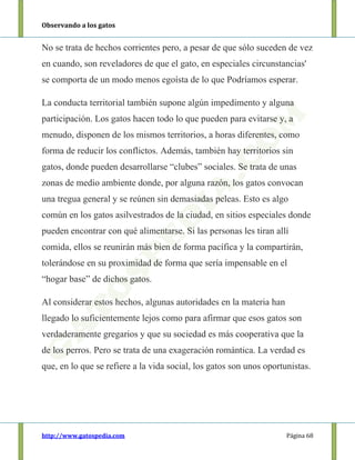 Observando a los gatos
http://www.gatospedia.com Página 68
No se trata de hechos corrientes pero, a pesar de que sólo suceden de vez
en cuando, son reveladores de que el gato, en especiales circunstancias'
se comporta de un modo menos egoísta de lo que Podríamos esperar.
La conducta territorial también supone algún impedimento y alguna
participación. Los gatos hacen todo lo que pueden para evitarse y, a
menudo, disponen de los mismos territorios, a horas diferentes, como
forma de reducir los conflictos. Además, también hay territorios sin
gatos, donde pueden desarrollarse “clubes” sociales. Se trata de unas
zonas de medio ambiente donde, por alguna razón, los gatos convocan
una tregua general y se reúnen sin demasiadas peleas. Esto es algo
común en los gatos asilvestrados de la ciudad, en sitios especiales donde
pueden encontrar con qué alimentarse. Si las personas les tiran allí
comida, ellos se reunirán más bien de forma pacífica y la compartirán,
tolerándose en su proximidad de forma que sería impensable en el
“hogar base” de dichos gatos.
Al considerar estos hechos, algunas autoridades en la materia han
llegado lo suficientemente lejos como para afirmar que esos gatos son
verdaderamente gregarios y que su sociedad es más cooperativa que la
de los perros. Pero se trata de una exageración romántica. La verdad es
que, en lo que se refiere a la vida social, los gatos son unos oportunistas.
 