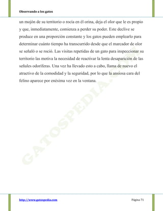 Observando a los gatos
http://www.gatospedia.com Página 71
un mojón de su territorio o rocía en él orina, deja el olor que le es propio
y que, inmediatamente, comienza a perder su poder. Este declive se
produce en una proporción constante y los gatos pueden emplearlo para
determinar cuánto tiempo ha transcurrido desde que el marcador de olor
se señaló o se roció. Las visitas repetidas de un gato para inspeccionar su
territorio las motiva la necesidad de reactivar la lenta desaparición de las
señales odoríferas. Una vez ha llevado esto a cabo, llama de nuevo el
atractivo de la comodidad y la seguridad, por lo que la ansiosa cara del
felino aparece por enésima vez en la ventana.
 