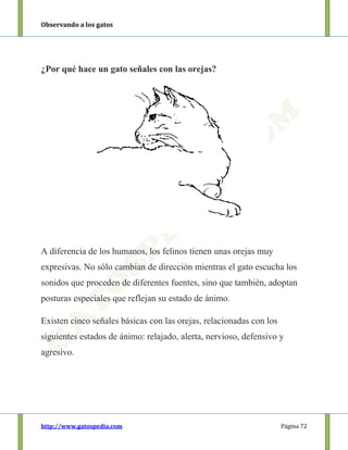 Observando a los gatos
http://www.gatospedia.com Página 72
¿Por qué hace un gato señales con las orejas?
A diferencia de los humanos, los felinos tienen unas orejas muy
expresivas. No sólo cambian de dirección mientras el gato escucha los
sonidos que proceden de diferentes fuentes, sino que también, adoptan
posturas especiales que reflejan su estado de ánimo.
Existen cinco señales básicas con las orejas, relacionadas con los
siguientes estados de ánimo: relajado, alerta, nervioso, defensivo y
agresivo.
 