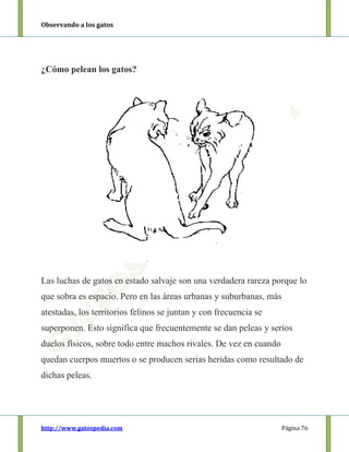 Observando a los gatos
http://www.gatospedia.com Página 76
¿Cómo pelean los gatos?
Las luchas de gatos en estado salvaje son una verdadera rareza porque lo
que sobra es espacio. Pero en las áreas urbanas y suburbanas, más
atestadas, los territorios felinos se juntan y con frecuencia se
superponen. Esto significa que frecuentemente se dan peleas y serios
duelos físicos, sobre todo entre machos rivales. De vez en cuando
quedan cuerpos muertos o se producen serias heridas como resultado de
dichas peleas.
 