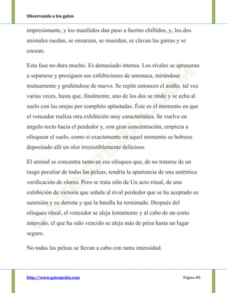 Observando a los gatos
http://www.gatospedia.com Página 80
impresionante, y los maullidos dan paso a fuertes chillidos, y, los dos
animales ruedan, se enzarzan, se muerden, se clavan las garras y se
cocean.
Esta fase no dura mucho. Es demasiado intensa. Los rivales se apresuran
a separarse y prosiguen sus exhibiciones de amenaza, mirándose
mutuamente y gruñéndose de nuevo. Se repite entonces el asalto, tal vez
varias veces, hasta que, finalmente, uno de los dos se rinde y se echa al
suelo con las orejas por completo aplastadas. Éste es el momento en que
el vencedor realiza otra exhibición muy característica. Se vuelve en
ángulo recto hacia el perdedor y, con gran concentración, empieza a
olisquear el suelo, como si exactamente en aquel momento se hubiese
depositado allí un olor irresistiblemente delicioso.
El animal se concentra tanto en ese olisqueo que, de no tratarse de un
rasgo peculiar de todas las peleas, tendría la apariencia de una auténtica
verificación de olores. Pero se trata sólo de Un acto ritual, de una
exhibición de victoria que señala al rival perdedor que se ha aceptado su
sumisión y su derrota y que la batalla ha terminado. Después del
olisqueo ritual, el vencedor se aleja lentamente y al cabo de un corto
intervalo, el que ha sido vencido se aleja más de prisa hasta un lugar
seguro.
No todas las peleas se llevan a cabo con tanta intensidad.
 