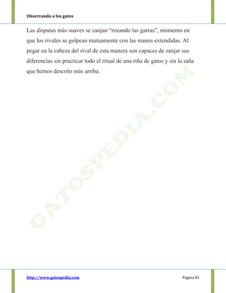 Observando a los gatos
http://www.gatospedia.com Página 81
Las disputas más suaves se zanjan “rozando las garras”, momento en
que los rivales se golpean mutuamente con las manos extendidas. Al
pegar en la cabeza del rival de esta manera son capaces de zanjar sus
diferencias sin practicar todo el ritual de una riña de gatos y sin la saña
que hemos descrito más arriba.
 