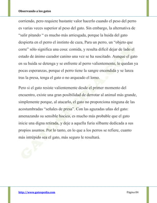Observando a los gatos
http://www.gatospedia.com Página 84
corriendo, pero requiere bastante valor hacerlo cuando el peso del perro
es varias veces superior al peso del gato. Sin embargo, la alternativa de
“salir pitando “ es mucho más arriesgada, porque la huida del gato
despierta en el perro el instinto de caza, Para un perro, un “objeto que
corre” sólo significa una cosa: comida, y resulta difícil dejar de lado el
estado de ánimo cazador canino una vez se ha suscitado. Aunque el gato
en su huida se detenga y se enfrente al perro valientemente, le quedan ya
pocas esperanzas, porque el perro tiene la sangre encendida y se lanza
tras la presa, tenga el gato o no arqueado el lomo.
Pero si el gato resiste valientemente desde el primer momento del
encuentro, existe una gran posibilidad de derrotar al animal más grande,
simplemente porque, al atacarlo, el gato no proporciona ninguna de las
acostumbradas “señales de presa”. Con las aguzadas uñas del gato:
amenazando su sensible hocico, es mucho más probable que el gato
inicie una digna retirada, y deje a aquella furia silbante dedicada a sus
propios asuntos. Por lo tanto, en lo que a los perros se refiere, cuanto
más intrépido sea el gato, más seguro le resultará.
 