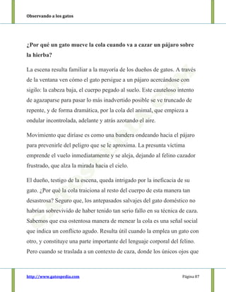 Observando a los gatos
http://www.gatospedia.com Página 87
¿Por qué un gato mueve la cola cuando va a cazar un pájaro sobre
la hierba?
La escena resulta familiar a la mayoría de los dueños de gatos. A través
de la ventana ven cómo el gato persigue a un pájaro acercándose con
sigilo: la cabeza baja, el cuerpo pegado al suelo. Este cauteloso intento
de agazaparse para pasar lo más inadvertido posible se ve truncado de
repente, y de forma dramática, por la cola del animal, que empieza a
ondular incontrolada, adelante y atrás azotando el aire.
Movimiento que diríase es como una bandera ondeando hacia el pájaro
para prevenirle del peligro que se le aproxima. La presunta víctima
emprende el vuelo inmediatamente y se aleja, dejando al felino cazador
frustrado, que alza la mirada hacia el cielo.
El dueño, testigo de la escena, queda intrigado por la ineficacia de su
gato. ¿Por qué la cola traiciona al resto del cuerpo de esta manera tan
desastrosa? Seguro que, los antepasados salvajes del gato doméstico no
habrían sobrevivido de haber tenido tan serio fallo en su técnica de caza.
Sabemos que esa ostentosa manera de menear la cola es una señal social
que indica un conflicto agudo. Resulta útil cuando la emplea un gato con
otro, y constituye una parte importante del lenguaje corporal del felino.
Pero cuando se traslada a un contexto de caza, donde los únicos ojos que
 