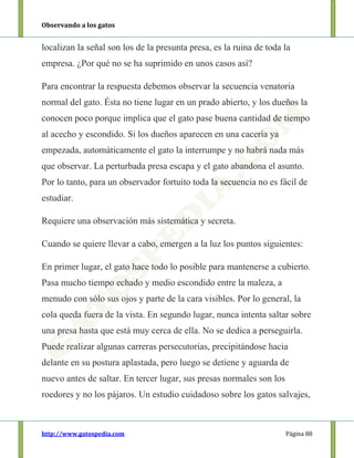 Observando a los gatos
http://www.gatospedia.com Página 88
localizan la señal son los de la presunta presa, es la ruina de toda la
empresa. ¿Por qué no se ha suprimido en unos casos así?
Para encontrar la respuesta debemos observar la secuencia venatoria
normal del gato. Ésta no tiene lugar en un prado abierto, y los dueños la
conocen poco porque implica que el gato pase buena cantidad de tiempo
al acecho y escondido. Si los dueños aparecen en una cacería ya
empezada, automáticamente el gato la interrumpe y no habrá nada más
que observar. La perturbada presa escapa y el gato abandona el asunto.
Por lo tanto, para un observador fortuito toda la secuencia no es fácil de
estudiar.
Requiere una observación más sistemática y secreta.
Cuando se quiere llevar a cabo, emergen a la luz los puntos siguientes:
En primer lugar, el gato hace todo lo posible para mantenerse a cubierto.
Pasa mucho tiempo echado y medio escondido entre la maleza, a
menudo con sólo sus ojos y parte de la cara visibles. Por lo general, la
cola queda fuera de la vista. En segundo lugar, nunca intenta saltar sobre
una presa hasta que está muy cerca de ella. No se dedica a perseguirla.
Puede realizar algunas carreras persecutorias, precipitándose hacia
delante en su postura aplastada, pero luego se detiene y aguarda de
nuevo antes de saltar. En tercer lugar, sus presas normales son los
roedores y no los pájaros. Un estudio cuidadoso sobre los gatos salvajes,
 