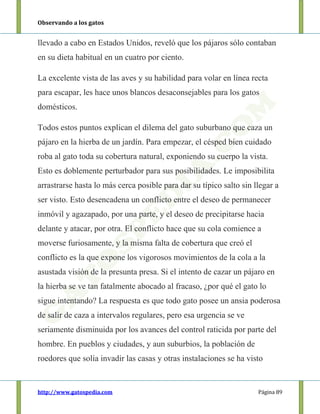 Observando a los gatos
http://www.gatospedia.com Página 89
llevado a cabo en Estados Unidos, reveló que los pájaros sólo contaban
en su dieta habitual en un cuatro por ciento.
La excelente vista de las aves y su habilidad para volar en línea recta
para escapar, les hace unos blancos desaconsejables para los gatos
domésticos.
Todos estos puntos explican el dilema del gato suburbano que caza un
pájaro en la hierba de un jardín. Para empezar, el césped bien cuidado
roba al gato toda su cobertura natural, exponiendo su cuerpo la vista.
Esto es doblemente perturbador para sus posibilidades. Le imposibilita
arrastrarse hasta lo más cerca posible para dar su típico salto sin llegar a
ser visto. Esto desencadena un conflicto entre el deseo de permanecer
inmóvil y agazapado, por una parte, y el deseo de precipitarse hacia
delante y atacar, por otra. El conflicto hace que su cola comience a
moverse furiosamente, y la misma falta de cobertura que creó el
conflicto es la que expone los vigorosos movimientos de la cola a la
asustada visión de la presunta presa. Si el intento de cazar un pájaro en
la hierba se ve tan fatalmente abocado al fracaso, ¿por qué el gato lo
sigue intentando? La respuesta es que todo gato posee un ansia poderosa
de salir de caza a intervalos regulares, pero esa urgencia se ve
seriamente disminuida por los avances del control raticida por parte del
hombre. En pueblos y ciudades, y aun suburbios, la población de
roedores que solía invadir las casas y otras instalaciones se ha visto
 