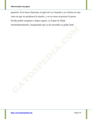 Observando a los gatos
http://www.gatospedia.com Página 93
puntería. Si el truco funciona, el gato tal vez muerda a su víctima en una
zona en que no produzca la muerte, y en no raras ocasiones la presa
herida podrá escaparse a lugar seguro, si el gato la afloja
momentáneamente, imaginando que ya ha asestado su golpe letal.
 