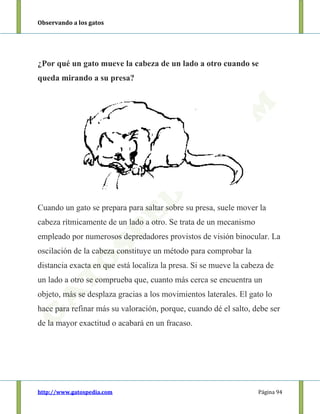 Observando a los gatos
http://www.gatospedia.com Página 94
¿Por qué un gato mueve la cabeza de un lado a otro cuando se
queda mirando a su presa?
Cuando un gato se prepara para saltar sobre su presa, suele mover la
cabeza rítmicamente de un lado a otro. Se trata de un mecanismo
empleado por numerosos depredadores provistos de visión binocular. La
oscilación de la cabeza constituye un método para comprobar la
distancia exacta en que está localiza la presa. Si se mueve la cabeza de
un lado a otro se comprueba que, cuanto más cerca se encuentra un
objeto, más se desplaza gracias a los movimientos laterales. El gato lo
hace para refinar más su valoración, porque, cuando dé el salto, debe ser
de la mayor exactitud o acabará en un fracaso.
 