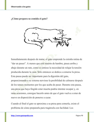 Observando a los gatos
http://www.gatospedia.com Página 98
¿Cómo prepara su comida el gato?
Inmediatamente después de matar, el gato emprende la extraña rutina de
“dar un paseo”. A menos que esté muerto de hambre, pasea arriba y
abajo durante un rato, como si sintiese la necesidad de relajar la tensión
producida durante la caza. Sólo entonces se dedica a comerse la presa.
Esta pausa puede ser importante para la digestión del gato,
proporcionando a su sistema nervioso la posibilidad de calmarse después
de los tensos momentos por los que acaba de pasar. Durante esta pausa,
una presa que haya fingido estar muerta podría intentar escapar y, en
raras ocasiones, consigue hacerlo antes de que el gato vuelva a estar de
nuevo en disposición de ponerse a cazar.
Cuando al final el gato se aproxima a su presa para comerla, existe el
problema de cómo prepararla para tragársela con facilidad. Los
 