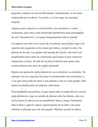 Observando a los gatos
http://www.gatospedia.com Página 99
pequeños roedores no causan dificultades. Simplemente, se los come
empezando por la cabeza. Las pieles, si se las traga, las regurgita
después.
Algunos gatos separan la vesícula biliar y los intestinos, y evitan
comérselos, pero otros están demasiado hambrientos para preocuparse
de esta “menudencia” y se tragan tranquilamente todo el animal.
Los pájaros son otra cosa a causa de sus plumas, pero incluso aquí a las
especies más pequeñas se las comen por entero, excepto la cola y las
plumas de las alas. Los pájaros del tamaño del zorzal y del mirlo son
desplumados poco antes de comérselos, pero luego el gato comienza
impaciente a comer. Al cabo de un rato se detiene para quitar unas
cuantas plumas más antes de seguir comiendo.
Repite esta operación cierto número de veces mientras va comiendo. No
obstante, las aves mayores necesitan un desplumado más sistemático, y
si un gato tiene éxito en matar a una paloma u otra ave más grande, debe
quitar las plumas antes de empezar a devorarla.
Para desplumar una paloma, el gato sujeta todo el cuerpo del ave con las
patas delanteras, coge un montón de plumas entre los dientes, alza con
cierta fuerza la cabeza con las mandíbulas llenas y luego, finalmente,
abre la boca y agita la cabeza vigorosamente de un lado a otro para
eliminar el plumaje que esté aún pegado. Mientras sacude la cabeza
 