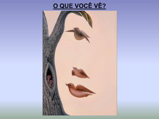 O QUE VOCÊ VÊ?
 