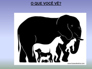 O QUE VOCÊ VÊ?
 