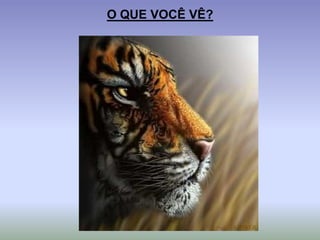O QUE VOCÊ VÊ?
 