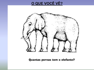 O QUE VOCÊ VÊ?
 