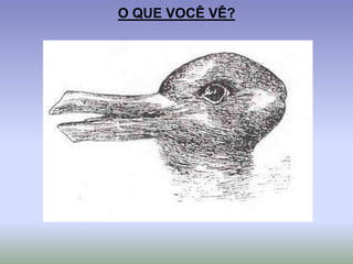 O QUE VOCÊ VÊ?
 
