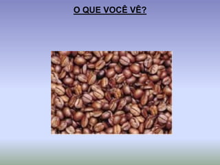 O QUE VOCÊ VÊ?
 