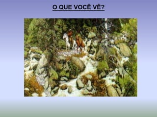 O QUE VOCÊ VÊ?
 