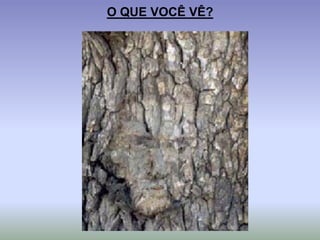 O QUE VOCÊ VÊ?
 