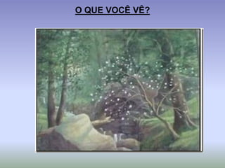 O QUE VOCÊ VÊ?
 