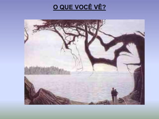 O QUE VOCÊ VÊ?
 