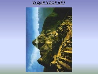 O QUE VOCÊ VÊ?
 