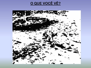 O QUE VOCÊ VÊ?
 