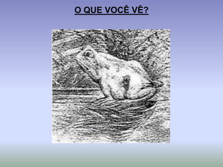 O QUE VOCÊ VÊ?
 