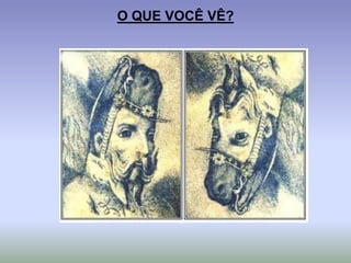 O QUE VOCÊ VÊ?
 